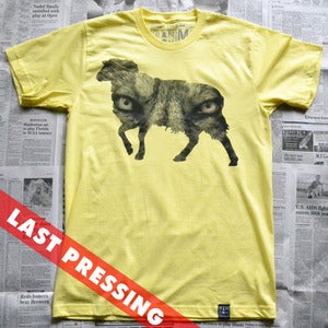 Image of Wolf In Sheep's Clothing (lemon)