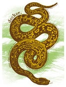 Image of 'Slider' Tour Poster Screenprint