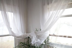 Image of Window, Niskayuna, Tangle (Spring)