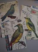 Image of Appliqués oiseaux