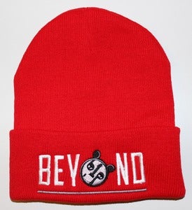 Image of Red Beyond beanie (white/grey)