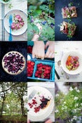 Image of Foraging + Styling Workshop with Aran Goyoaga July 5 + 6 2013