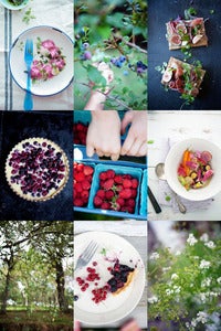 Image of Foraging + Styling Workshop with Aran Goyoaga July 5 + 6 2013
