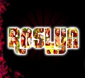 Image of Roslyn demo