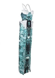 Image of DYNASTY Printed Bustier Dress in Elysian Print