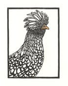 Image of Polish Chicken Woodcut