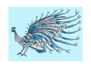 Image of Windmill Hill Peacock