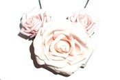 Image of Big Bloom