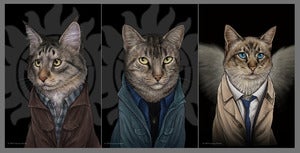 Image of Supurrnatural Postcards