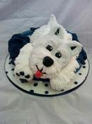 Image of Online Sugarcraft tutorials. BACK CATALOGUE. Cake classes in Carlisle