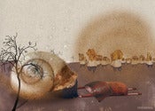 Image of Ilustraciones "Ventanuca"