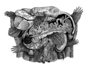Image of ODESSA - limited edition screen print