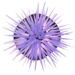 Image of Urchin Original Art