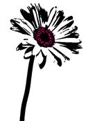 Image of daisy canvas painting