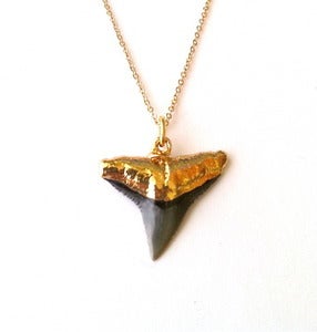 Image of Gold Shark Tooth necklace
