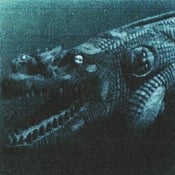 Image of BLACKEST015: Rainforest Spiritual Enslavement - 'Black Magic Cannot Cross Water' LP 