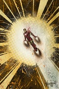 Image of Superhero Smackdown: Iron Man