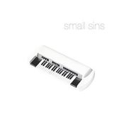 Image of Small Sins