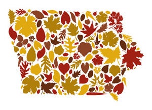 Image of Iowa Fall Postcard/Print by Joseph Hughes