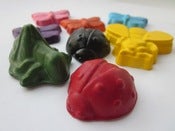 Image of Bugs!