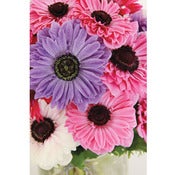 Image of Anemone (Large) *NEW*