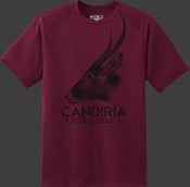 Image of Candiria Steer Tee (Maroon & Black)