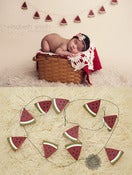 Image of Watermelon or Lady Bug Wooden Garland - Vintage Style -Photography Prop