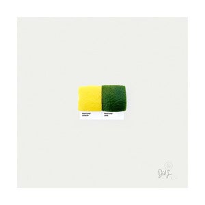Image of Lemon & Lime