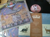 Image of The War of the Species, Vinyl