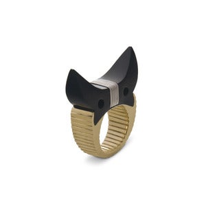Image of STIER Ring