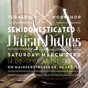 Image of Terrarium Workshop