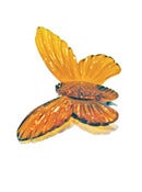 Image of Carved Butterfly Brooch by Hotcakes Design