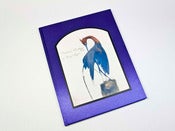 Image of Pictorial Zoology - Laszlo Layton