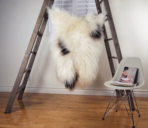 Image of Large Spotted Sheepskin SP-155