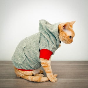 Image of Rex Hoodie - Walk of Fame Remix<br>(Heavy Weight)