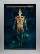 Image of Anders Fukevik - COSMOS