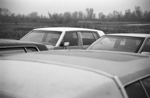 Image of Cars gathering