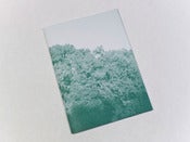 Image of Note Well - Debbie Carlos