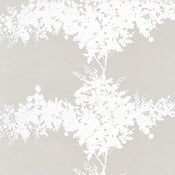 Image of wattle soft grey end roll