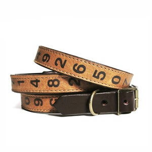 Image of Lucky Collar