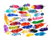 Image of new print | feathers