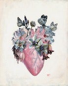 Image of Metamorphosis Special Edition Canvas Print 8x10