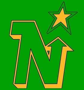 Image of North Stars hockey shirt