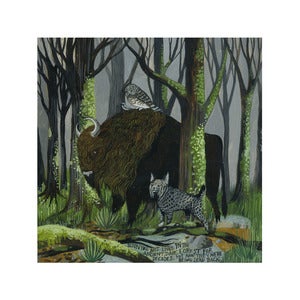 Image of Bialowieza Limited Edition Archival Inkjet Print