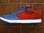 Image of NIKE DUNKTESTO