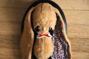 Image of Tan Mounted Bunny