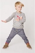 Image of SHAMPOODLE denim, grey