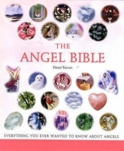 Image of The Angel Bible
