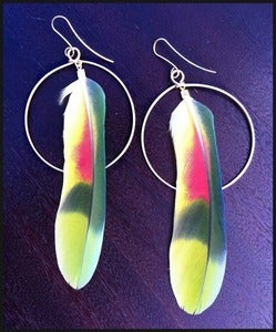 Image of parrot feathers