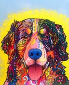Image of Bernese Mountain Dog PRINT